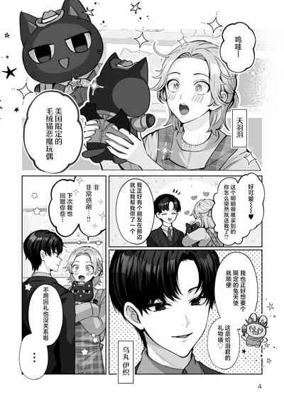 第4页图