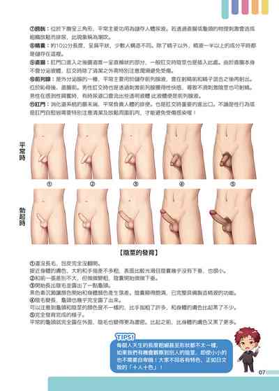 第8页图