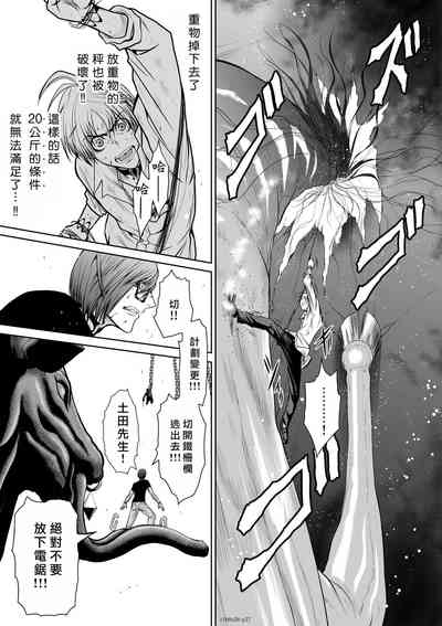第116頁圖