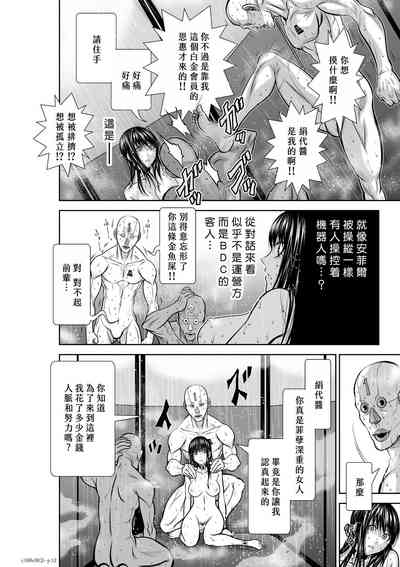 第248頁圖