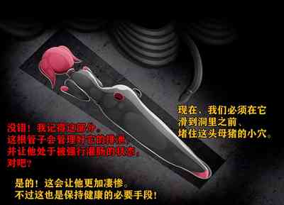 第160頁圖
