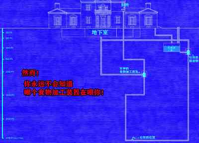 第216頁圖