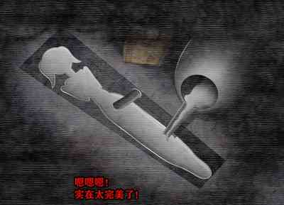 第248頁圖