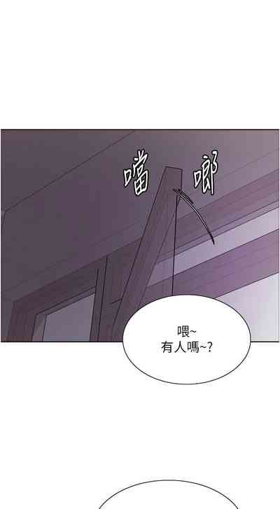 第384页图