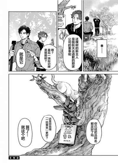 第176頁圖
