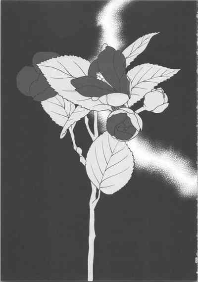 第24頁圖