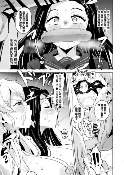 第4页图