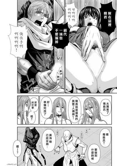 第256頁圖