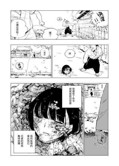 第8頁圖