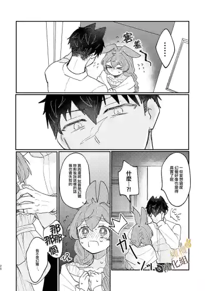 第28页图