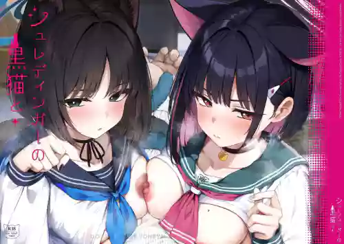 与薛定谔的黑猫一起2图