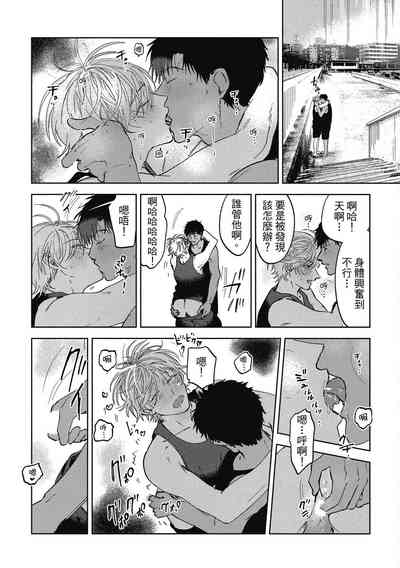 第204頁圖