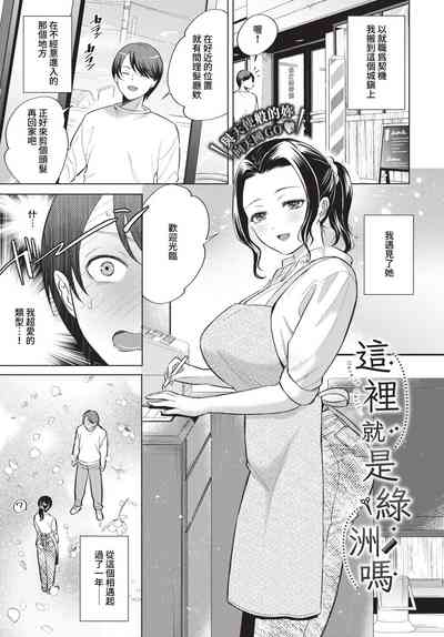 第244頁圖