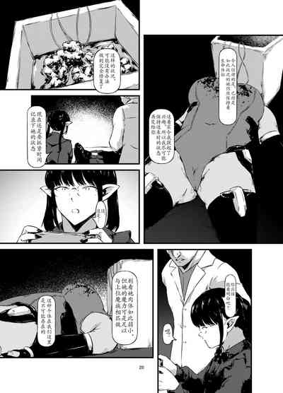 第20頁圖