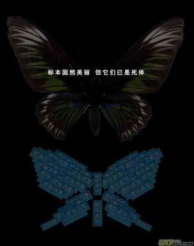 第320頁圖