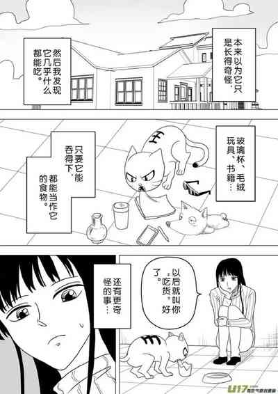 第204頁圖