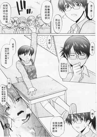 第164頁圖