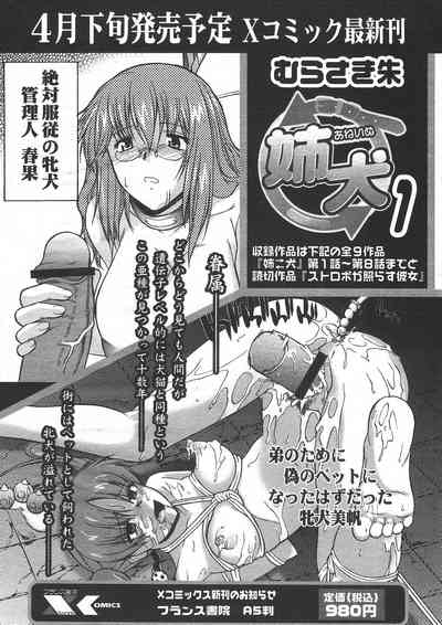 第204頁圖