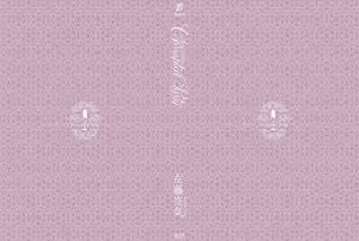 第244頁圖
