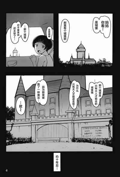 第4页图