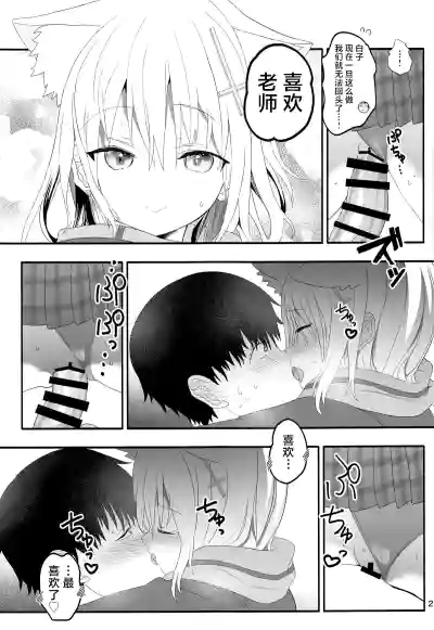 第20页图