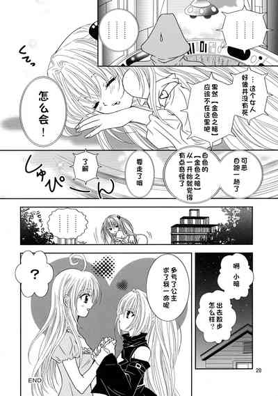 第20页图