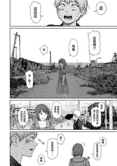 第204页图