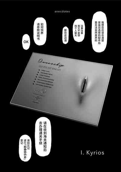 第240页图