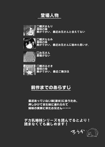 第4页图