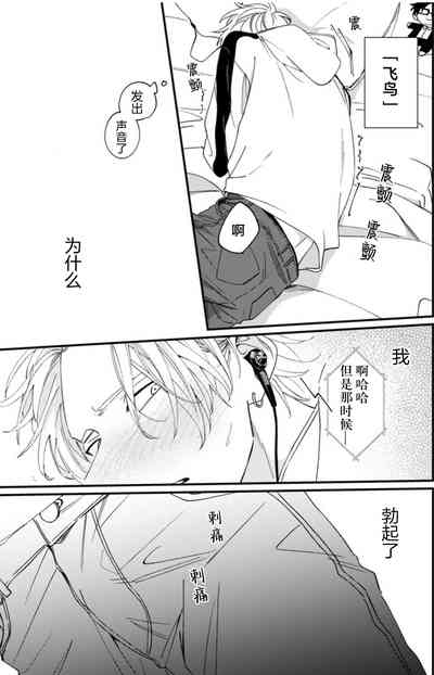 第68頁圖