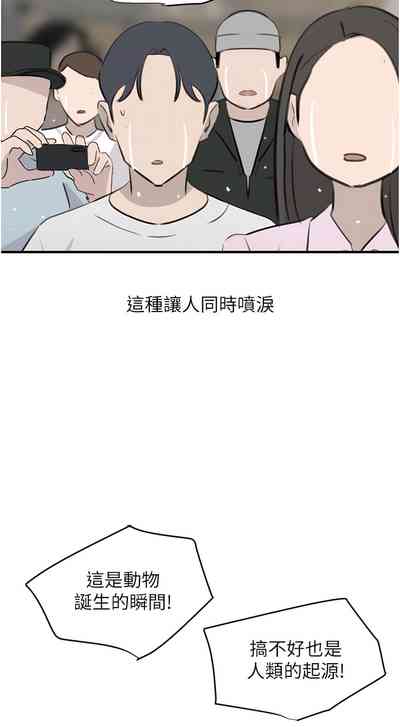 第224頁圖