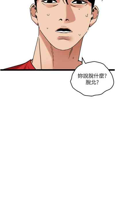 第512頁圖