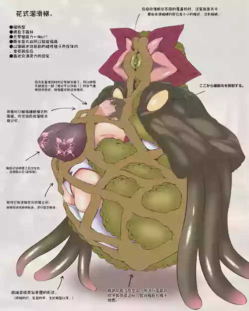 魔物図鑑18「華達磨」圖