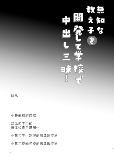 第4页图