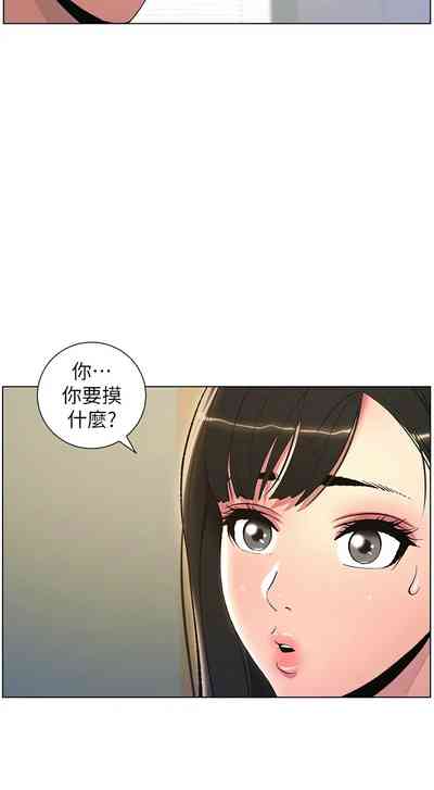 第272頁圖