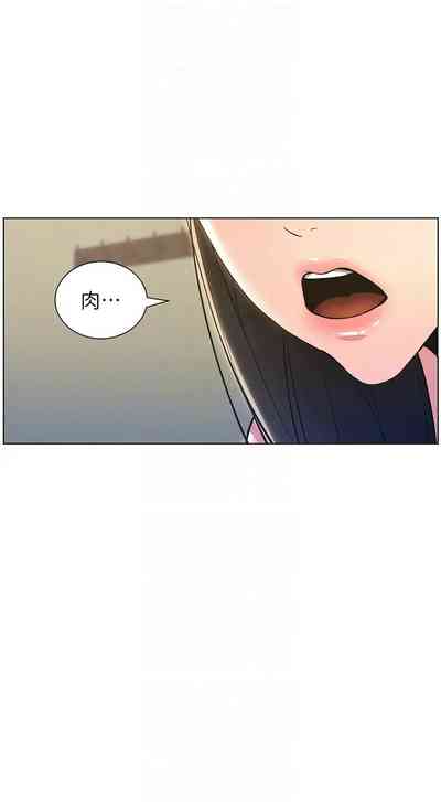 第300頁圖