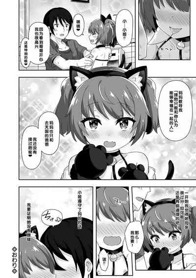 第68頁圖