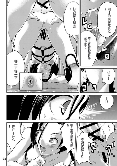 第24页图