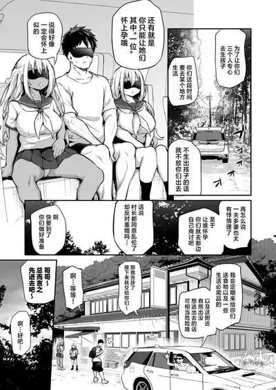 第4页图