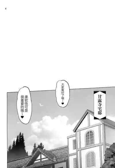 第4页图