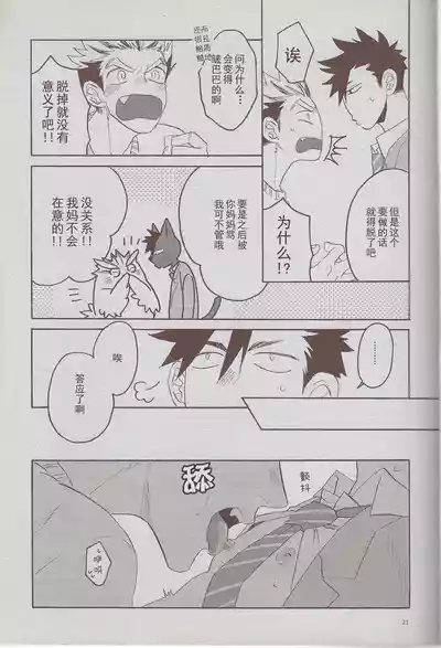 第20页图