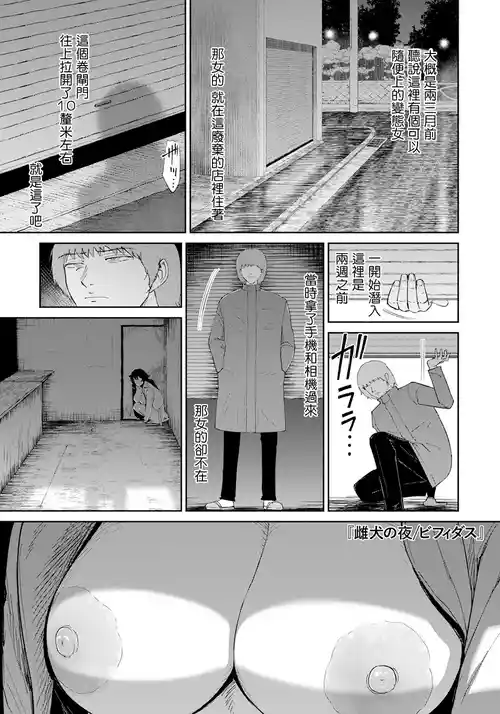 雌犬の夜 封面 - HaSM.cc