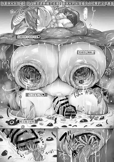 第24页图