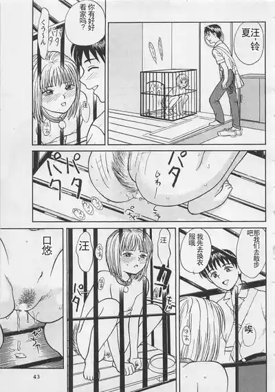 第44页图