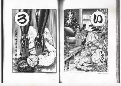 第68頁圖