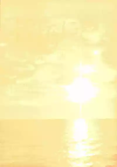 第100頁圖