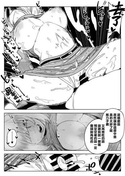 第216頁圖