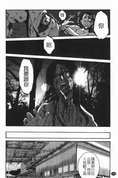 第200頁圖