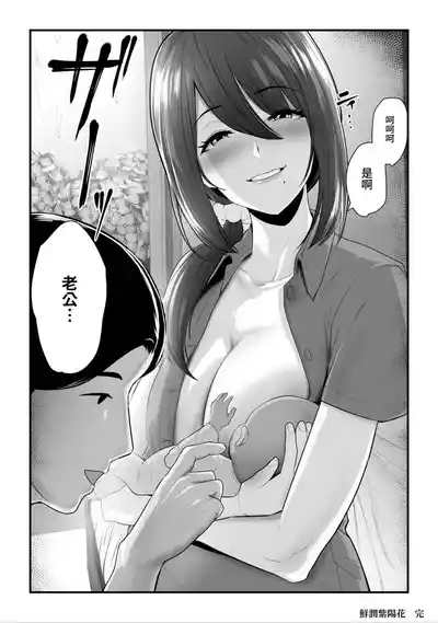 第236頁圖