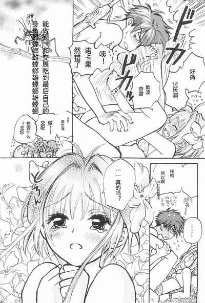 第24頁圖